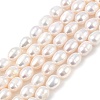 Natural Cultured Freshwater Pearl Beads Strands PEAR-I007-01D-06A-01-2
