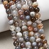 Natural Botswana Agate Beads Strands G-H334-A01-01-1