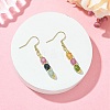 Natural Gemstone Dangle Earrings EJEW-JE07308-7