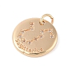 Brass with Clear Cubic Zirconia Pendants LS-KK-N256-24I-G-2