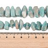 Natural Amazonite Beads Strands G-P619-A04-01-5