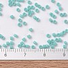 MIYUKI Delica Beads SEED-MY11-DB1136-3