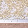 MIYUKI Delica Beads SEED-X0054-DB0204-4