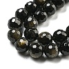 Natural Golden Sheen Obsidian Beads Strands G-E571-A01-02-4