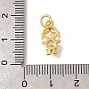 Rack Plating Brass Micro Pave Cubic Zirconia Charms KK-I716-25G-01-3