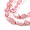 Natural White Shell Beads Strands SHEL-N036-21G-3