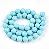 Synthetic Turquoise Beads Strands G-A255-A04-03B-2