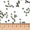 Glass Seed Beads SEED-H002-B-D221-4