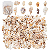 Natural Sea Shell Beads Kits SSHEL-PH0002-51-1