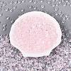 Transparent Colours Glass Seed Beads SEED-Q042-01A-A01-2