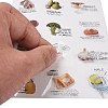 PET Tags Picture Stickers LS-AJEW-R098-01D-3