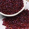 Spray Painted Glass Seed Beads SEED-F005-06A-04-1