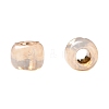 TOHO 11/0 Round Beads X-SEED-TR11-PF2111-4