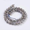 Natural Labradorite Beads Strands G-G212-8mm-23-2