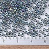 MIYUKI Round Rocailles Beads X-SEED-G007-RR0249-4