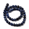 Natural Sodalite Beads Strands G-P582-6mm-02-3