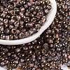 Glass Seed Beads SEED-A032-06B-1