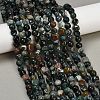 Natural Indian Agate Beads Strands G-Q060-E08-01-1