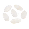 Natural Freshwater Shell Cabochons BSHE-G036-10B-1