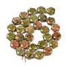 Natural Unakite Beads Strands G-G144-A01-01-3