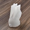 Rabbit DIY Silicone Rabbit Ornaments Molds SIMO-R010-03B-3