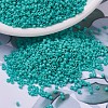 MIYUKI Delica Beads X-SEED-J020-DB0729-1