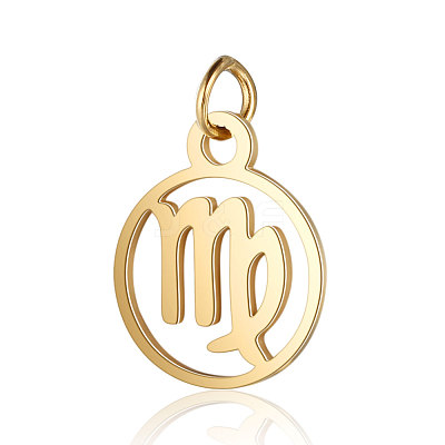 201 Stainless Steel Charms STAS-T036-T513-6-1