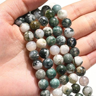 Natural Tree Agate Beads Strands G-H1633-8MM-1