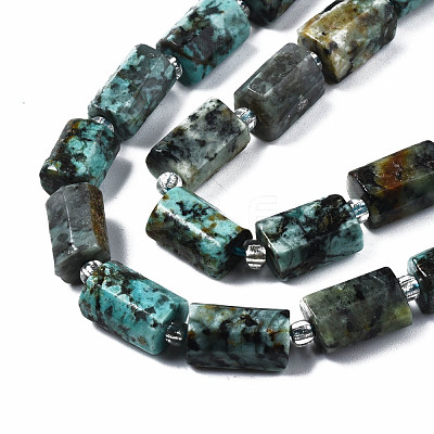Natural African Turquoise(Jasper) Beads Strands G-S376-012-1