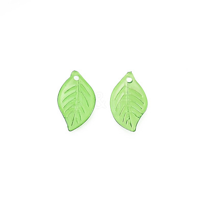 Transparent Acrylic Pendants TACR-T012-06-1