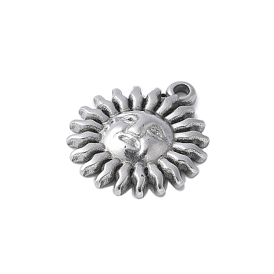 304 Stainless Steel Charms STAS-E548-06P-1