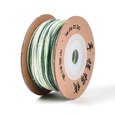 30M Segment Dyed Macrame Cotton Cord OCOR-T018-01T-1