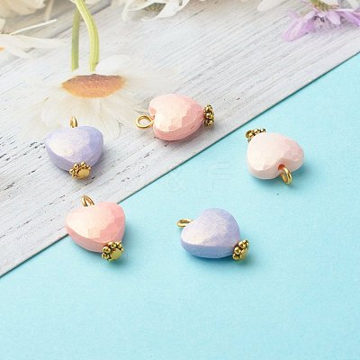 Spray Painted Acrylic Pendants PALLOY-JF00826-1