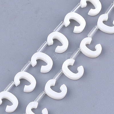 Freshwater Shell Beads X-SHEL-T012-59C-1