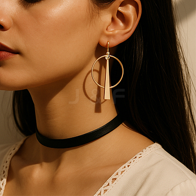 4 Pairs 2 Colors Alloy & Iron Ring Dangle Earrings EJEW-HY0001-31-1