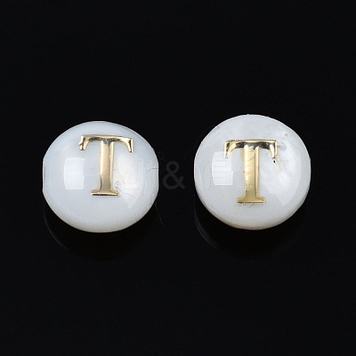 Natural Freshwater Shell Beads SHEL-S278-036T-1
