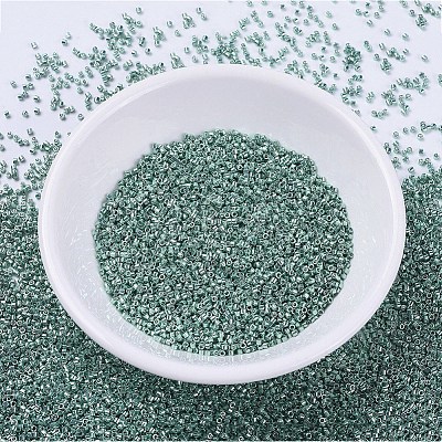 MIYUKI Delica Beads SEED-MY11-DB0416-1