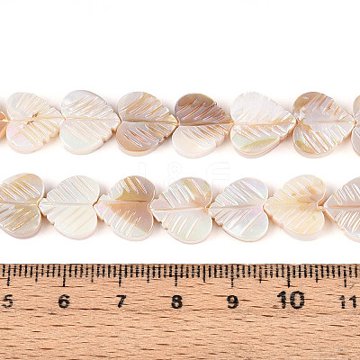 Electroplated Natural Freshwater Shell Carved Beads Strands SHEL-T020-14-1