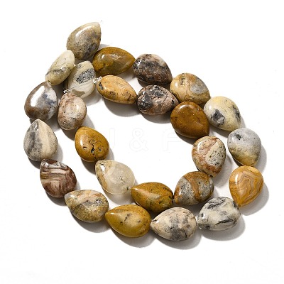 Natural Crazy Agate Beads Strands G-P561-B11-01-1