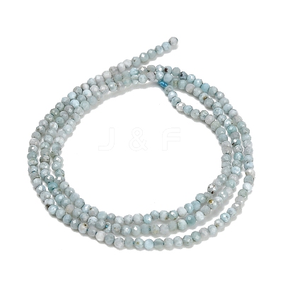 Natural Larimar Beads Strands GG-CBA77FB-B04-2mm-1