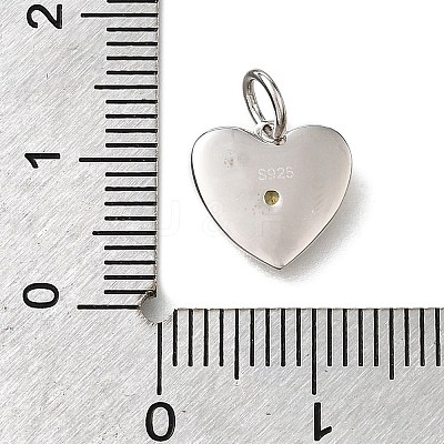 925 Sterling Silver Micro Pave Clear Cubic Zirconia Charms STER-V001-01P-08-1