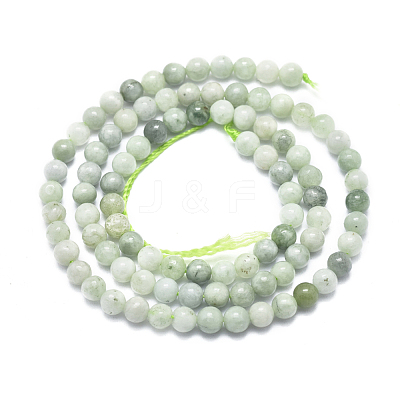 Natural Myanmar Jade/Burmese Jade Beads Strands G-D0001-08-4mm-1
