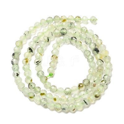 Natural Prehnite Beads Strand G-RM241221-B11-1