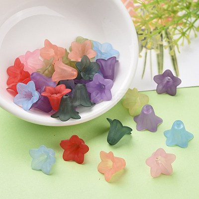 Mixed Color Transparent Acrylic Frosted Flower Beads X-PLF018-1