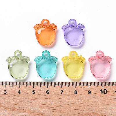 Transparent Acrylic Pendants TACR-S154-28B-1