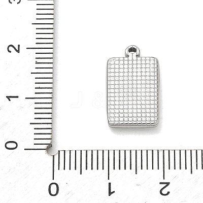 304 Stainless Steel Micro Pave Clear Cubic Zirconia Pendants SA-CBA50C9-03P-1