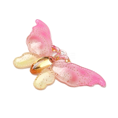 Gradient Color Resin Pendants RESI-Q012-03J-1