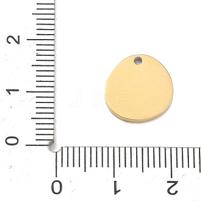 304 Stainless Steel Charms SA-CBA2714-02D-G-1