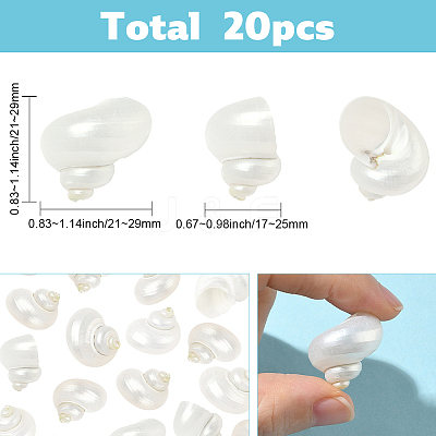 20Pcs Natural Spiral Shell Beads SSHEL-SC0001-56-1