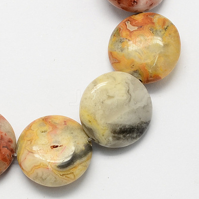 Flat Round Natural Crazy Lace Agate Beads Strands G-S110-14mm-05-1